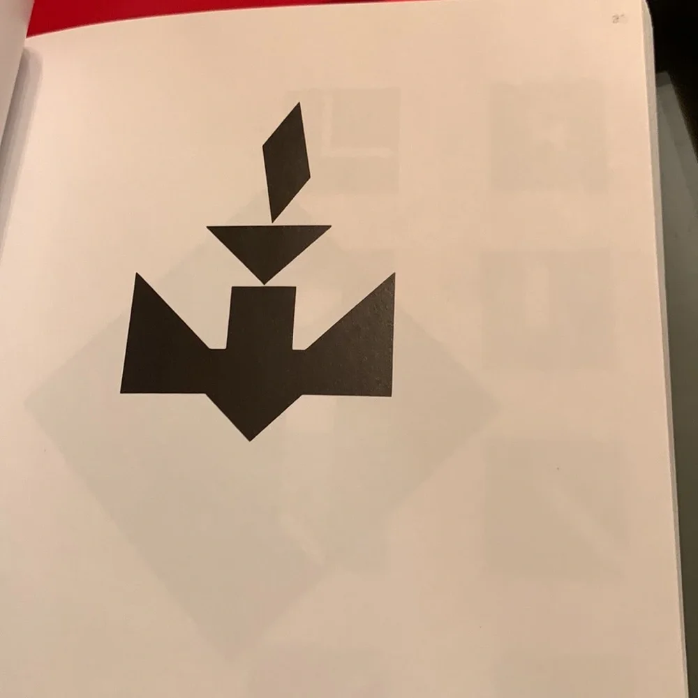 Tangram LARGE 1,600 ancient Chinese puzzles games Elffers Schuyt HOURS OF FUN
